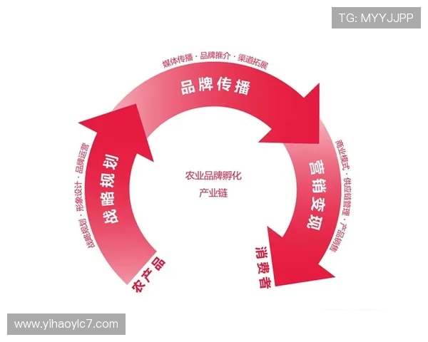 壹号娱乐官方网站：新手入门攻略与常见问题解答全方位解析