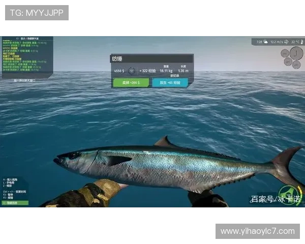 壹号模拟器试玩入口全面介绍，助你轻松体验各种模拟游戏乐趣